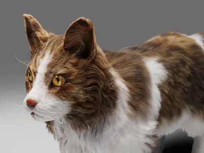 Fur Calico Cat V03 No Rigged Low-poly 3D model