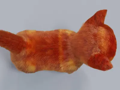 Fur Cute Cat kitten Red 02 No Rig Low-poly 3D model