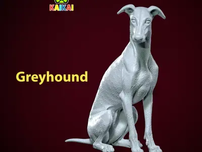 Greyhound breed - Dog greyhound racing model - 3D print 3D print model