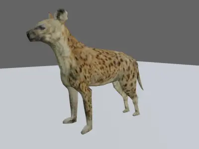 Hyena low and high poly - Hiena Low-poly 3D model