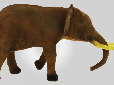 African Elephant Low-poly 3D model