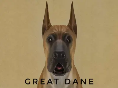 DOG - GREAT DANE  Low-poly 3D model