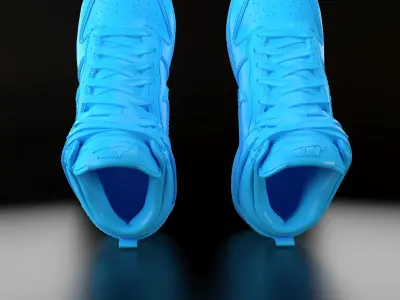 Nike Dunk High 3D print model