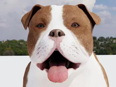 Pitbul Flex 3D model