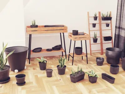 Plants pots collection vol 03 Low-poly 3D model