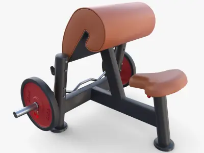 Curl bench 3D model
