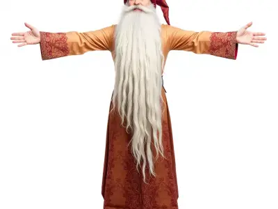 Wizard Character Model Pack with Long Beard and Robe Low-poly 3D model