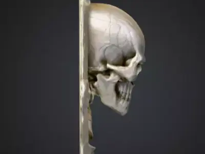 Skeletal Warrior Wall Plaque Low-poly 3D model