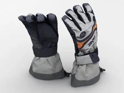 Ski Gloves 3D model