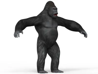 Gorilla With PBR Textures Low-poly 3D model