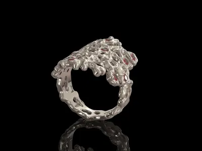 Women Ring 003 3D print model