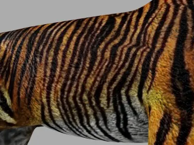 Royel Bengal Tiger 3D model