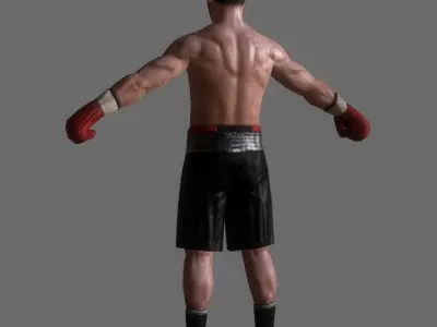 Boxer v2 Low-poly 3D model