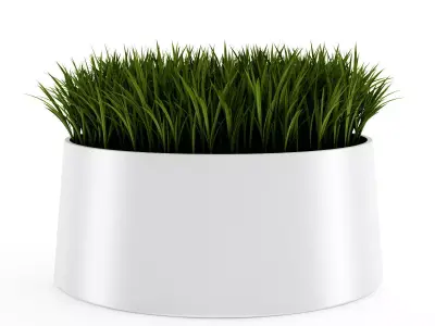 Decorative Grass 3D model