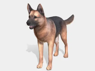Dog - Shepherd Low-poly 3D model