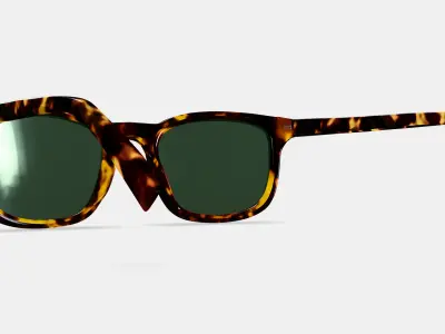 Samir Sunglasses in Black Oak Tortoise 3D model