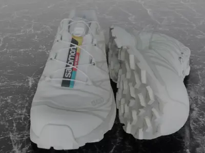 SALOMON S-LAB XT6 WHITE 3D SHOES 3D model