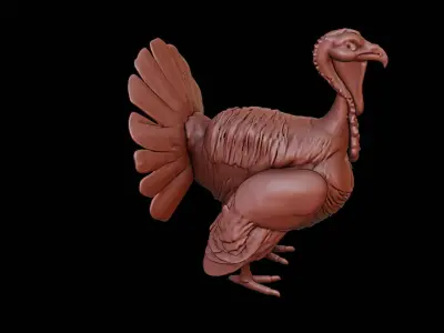 Turkey Animal Sculpture 3D print model