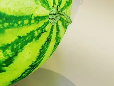 Watermelon High Res Texture 3D model