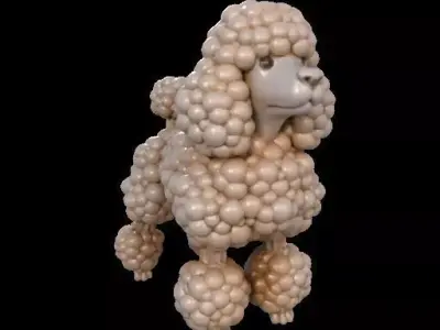Cauliflower Textured Poodle 3D print model