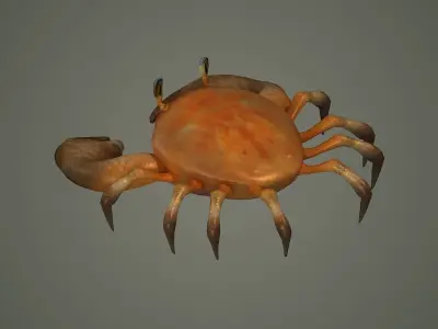crab animal 3d model texture arthropod character  3D model