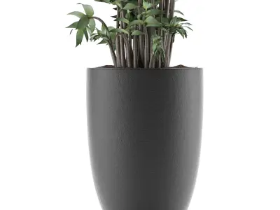 House Plant 18 3D model