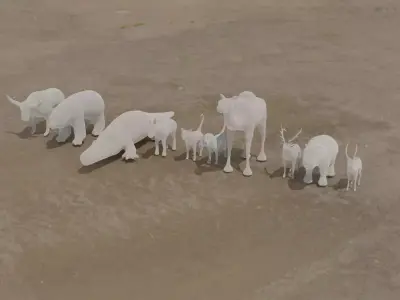 Animals base mesh 3D model