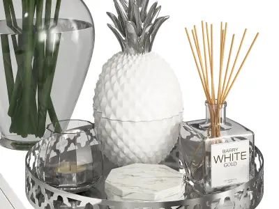 Silver Coffee Table Decor  3D model