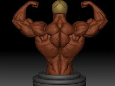 Front Double Biceps Pose 3D print model