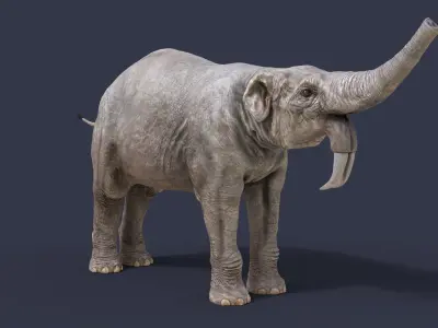 Deinotherium thraceiensis 3D model