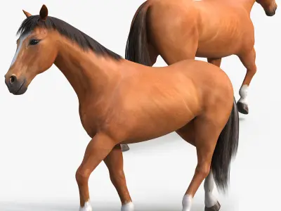 Horses PRO - 4 in 1 Bundle 3D model