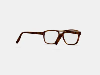 Ortega Eyeglasses in Peppercorn Tortoise 3D model