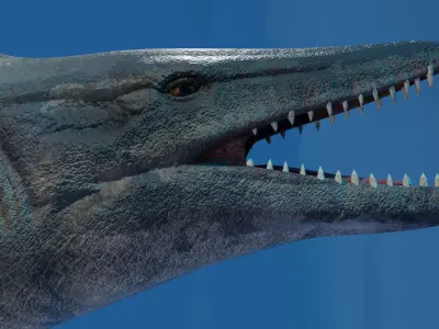 Mosasaurus Animated Low-poly 3D model