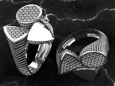 Fusion ring  3D print model