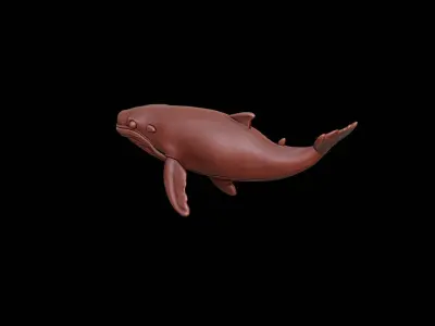 Whale Animal Sculpture 3D print model get