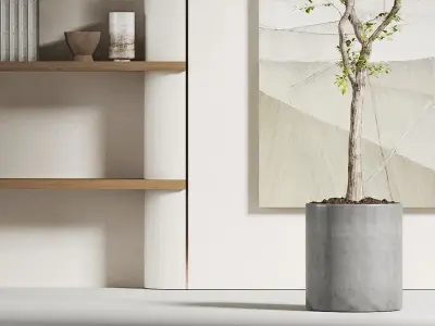 Potting decoration model monomer Plant 3D model