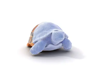 Colorful Tortoise Shell model pack Low-poly 3D model