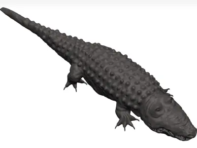 Alligator 3D model shop