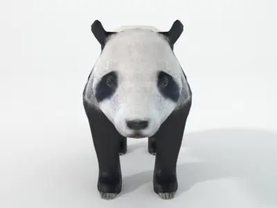 Panda bear Low-poly 3D model order
