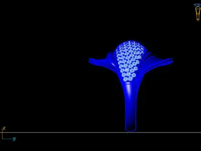Women Ring 3D print model 13