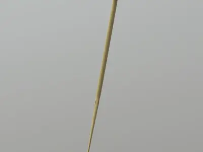 Paddle wooden Low-poly 3D model