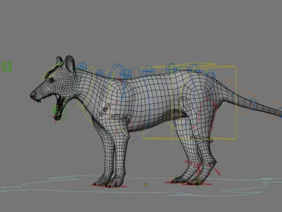 tylacine marsupial wolf Low-poly 3D model