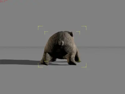 Baby Polar Bear Animal Low-poly 3D model