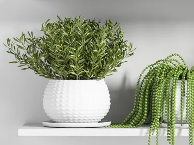 Indoor Plant Set 22 3D model