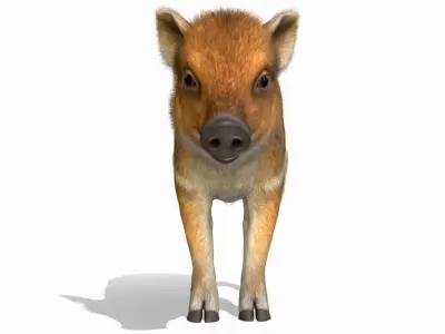 Wild Boar - Young Low-poly 3D model