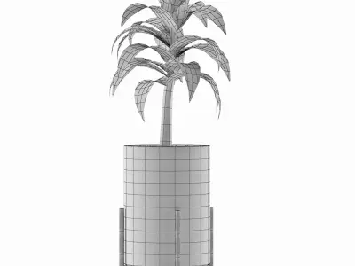 House Plant 22 3D model