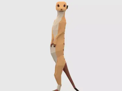 Meerkats meerkat Low-poly 3D model