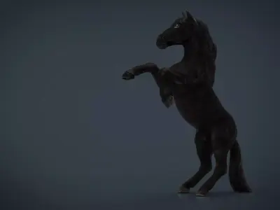 Black Horse Low-poly 3D model