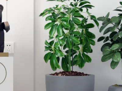 Modern Bear Balloon Sculpture 3D model