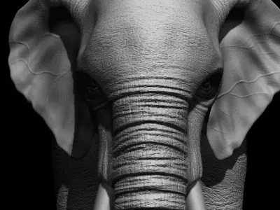 Realistic Elephant 3D model